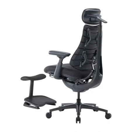 LiberNovo Omni Pro 45 cm Ergonomic Chair (Graphite)